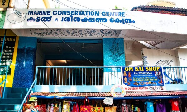 Positive Change For Marine Life India Open Innovation Hub Marine Conservation Centre India Home