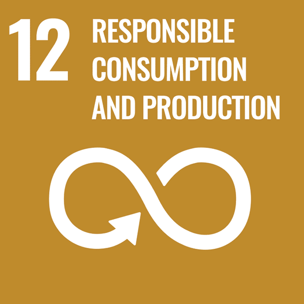 Sustainable Development Goal Responsible Consumption 01