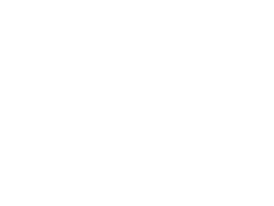 Intrepid Foundation Logo 02