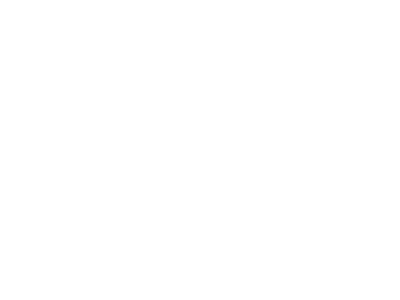Ripl Logo 01