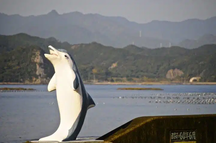 Positive Change For Marine Life Japan Dolphins 01